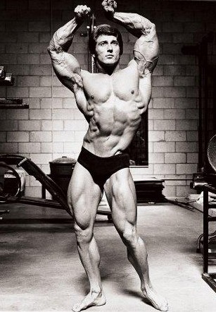 frank zane workout